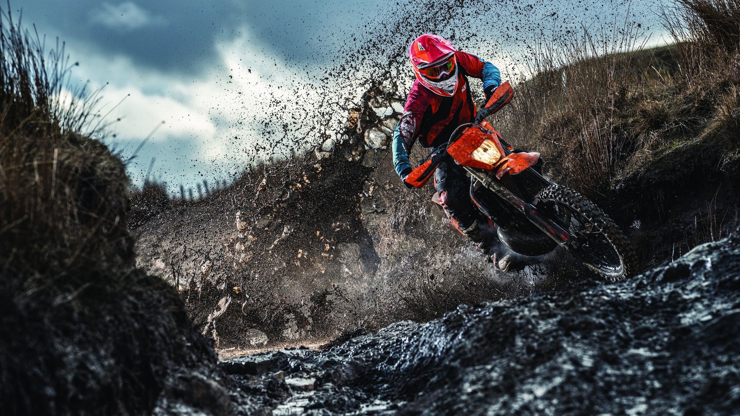 女子体育关注度提升,多项赛事创造观赛纪录,女子体能比赛